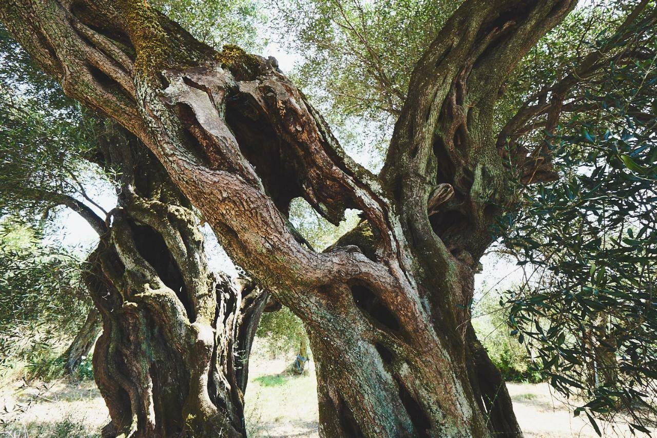 The Guund House Διαμέρισμα Ξανθάτες Εξωτερικό φωτογραφία