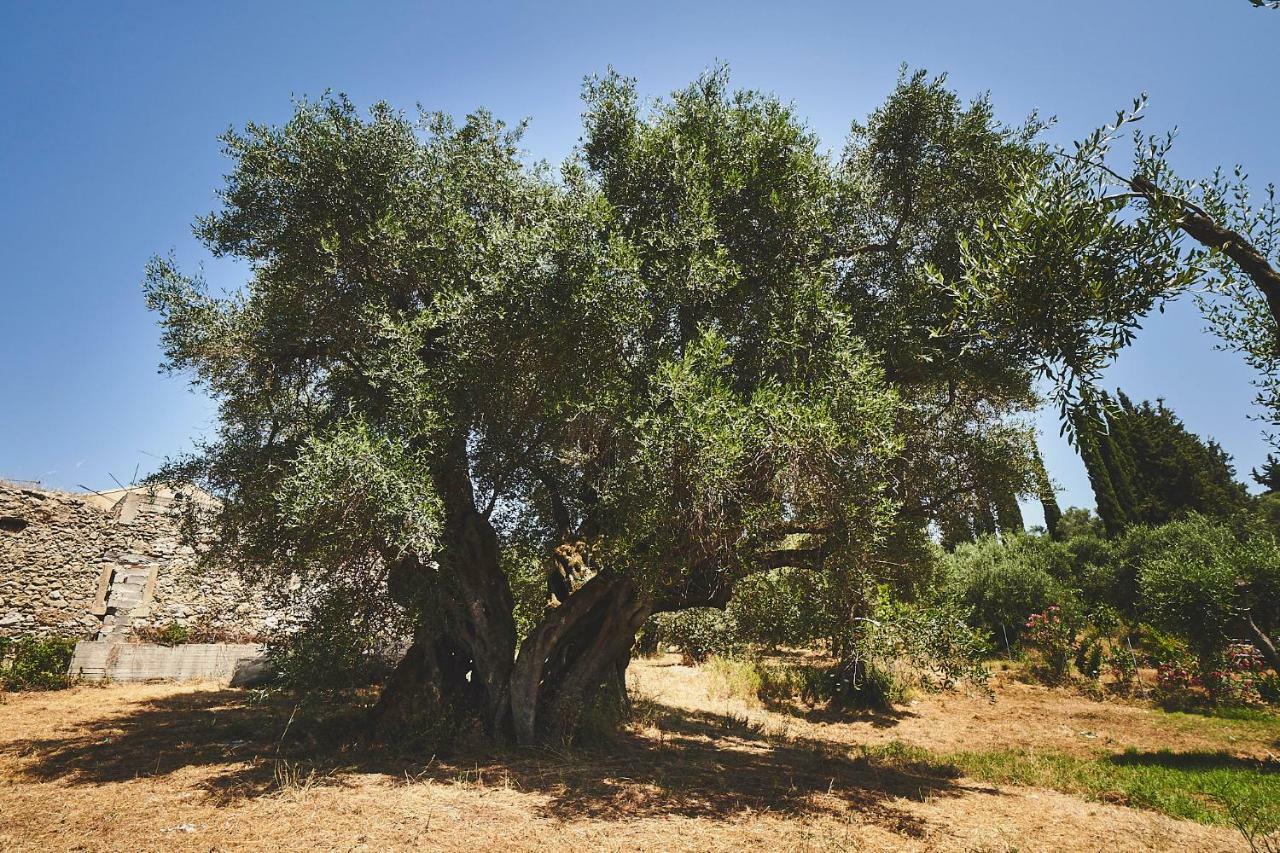 The Guund House Διαμέρισμα Ξανθάτες Εξωτερικό φωτογραφία