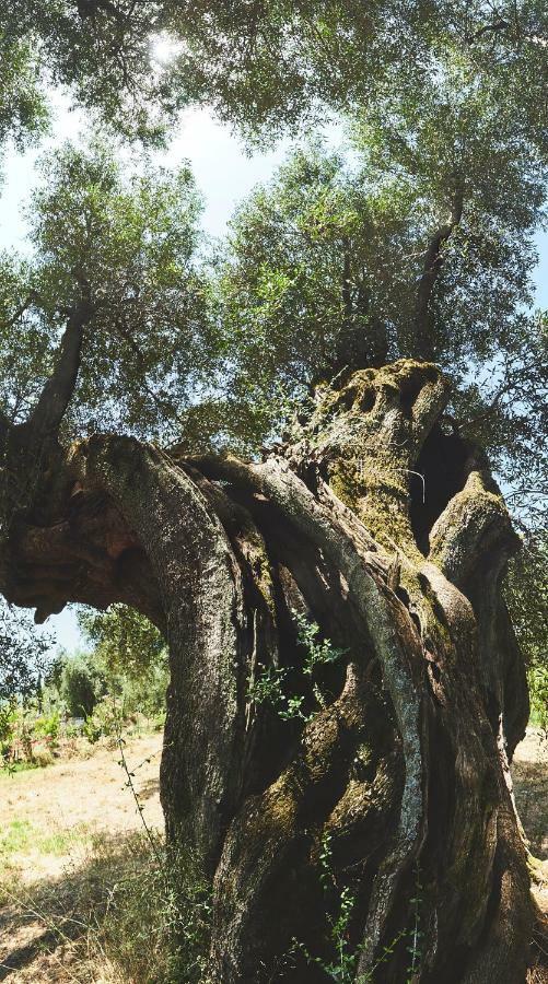 The Guund House Διαμέρισμα Ξανθάτες Εξωτερικό φωτογραφία