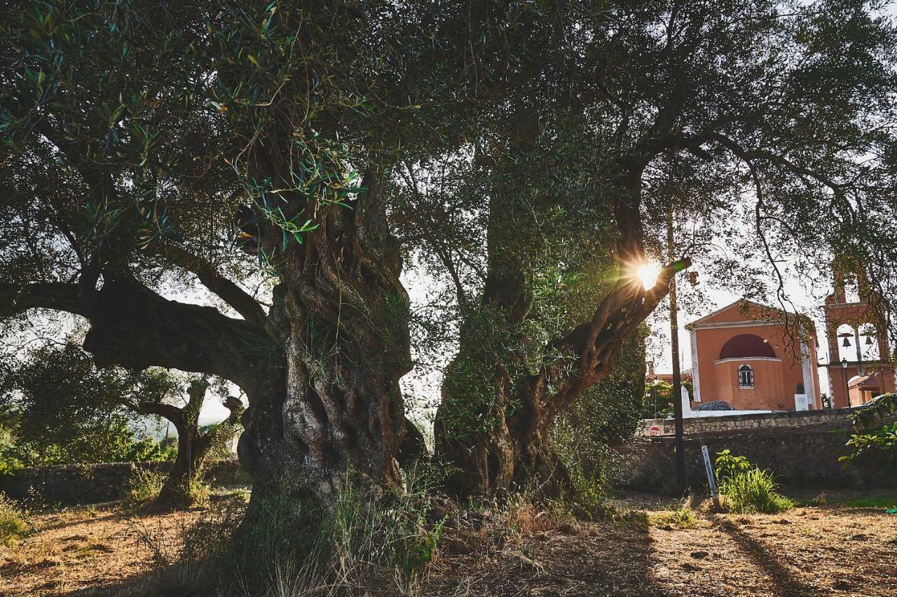 The Guund House Διαμέρισμα Ξανθάτες Εξωτερικό φωτογραφία