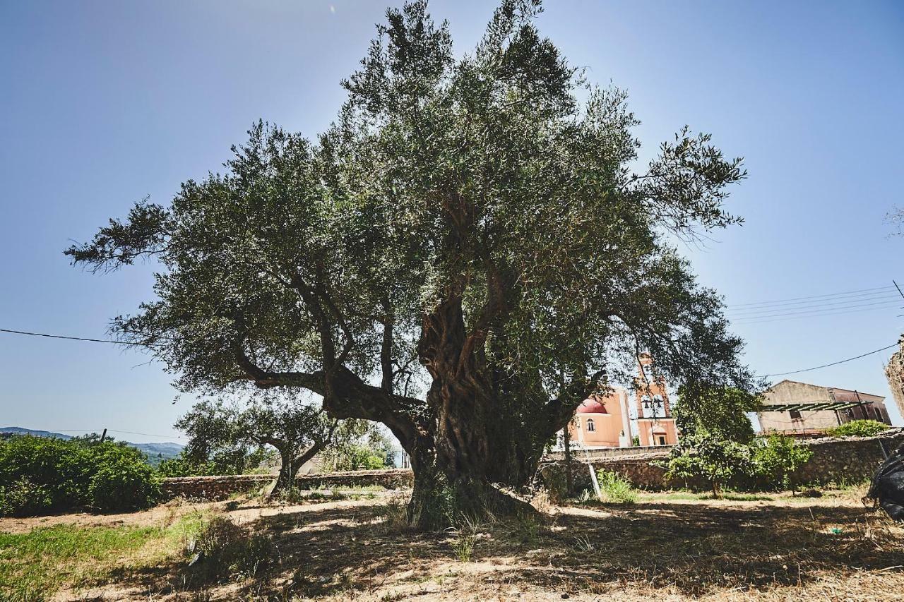 The Guund House Διαμέρισμα Ξανθάτες Εξωτερικό φωτογραφία